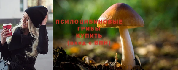 ГАЛЛЮЦИНОГЕННЫЕ ГРИБЫ Богородицк