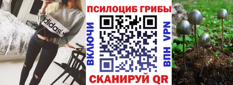 кракен ССЫЛКА  Вельск  Галлюциногенные грибы Magic Shrooms  купить наркотики сайты 